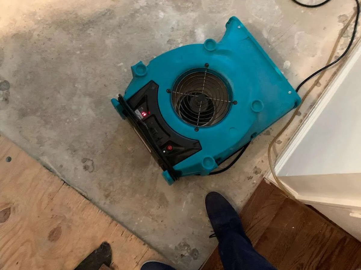 Air mover drying subfloor during Commercial Water Damage Restoration in Mango